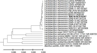 Enterococcus faecalis Is a Better Competitor Than Other Lactic Acid Bacteria in the <mark class="highlighted">Initial Colonization</mark> of Colon of Healthy Newborn Babies at First Week of Their Life